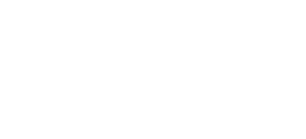 ver20