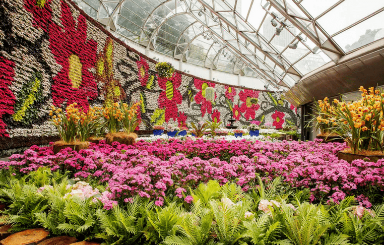 Royal-Botanic-Gardens-Sydney-Calyx-762×486