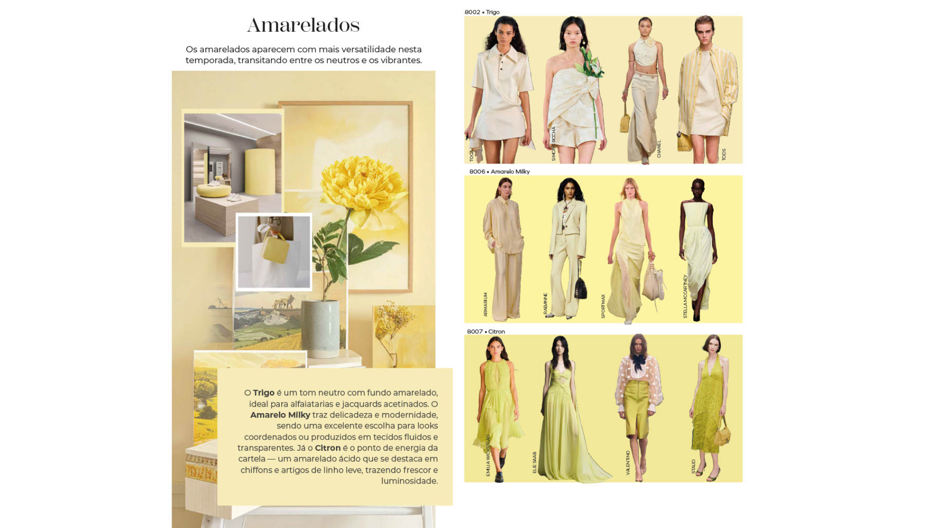 AMARELADOS_BLOG_CORES_VER27